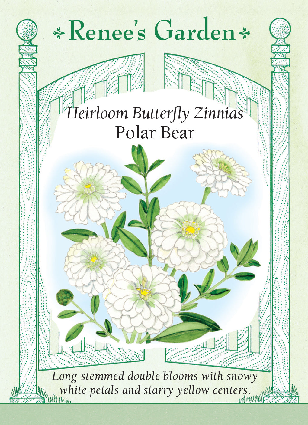 Heirloom Butterfly Zinnias Polar Bear