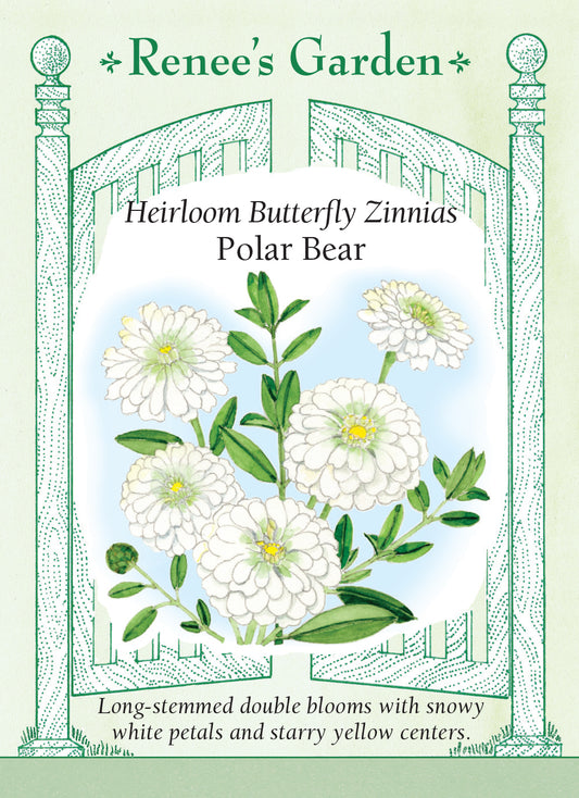 Zinnias (Butterfly)Heirloom Polar Bear