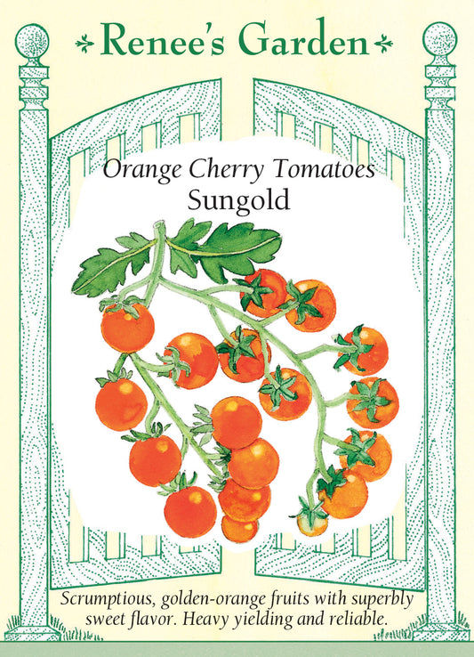 Tomato Cherry Sungold