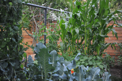 Cotton Garden Netting