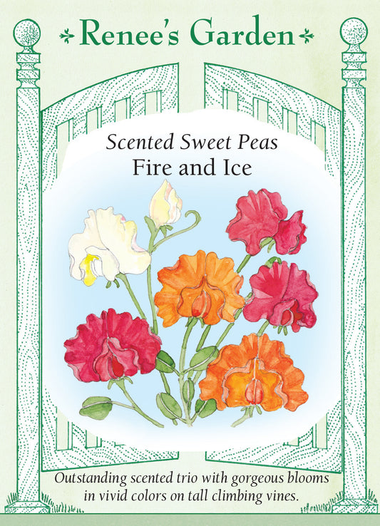 Sweet Pea Fire & Ice Mix