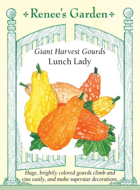 Gourds Giant Lunch Lady Mix