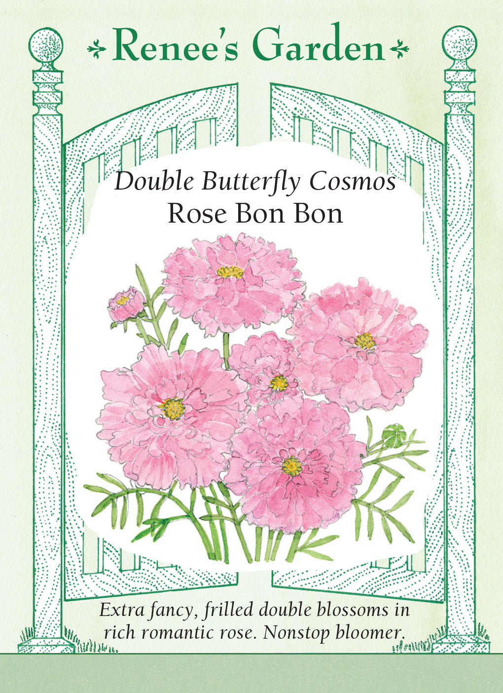 Double Butterfly Cosmos Rose Bon Bon