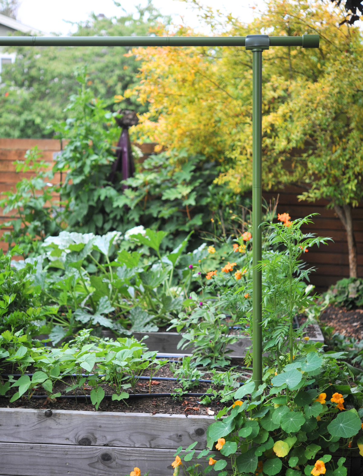 Basil Freyr garden trellis set up to 5 feet in height
