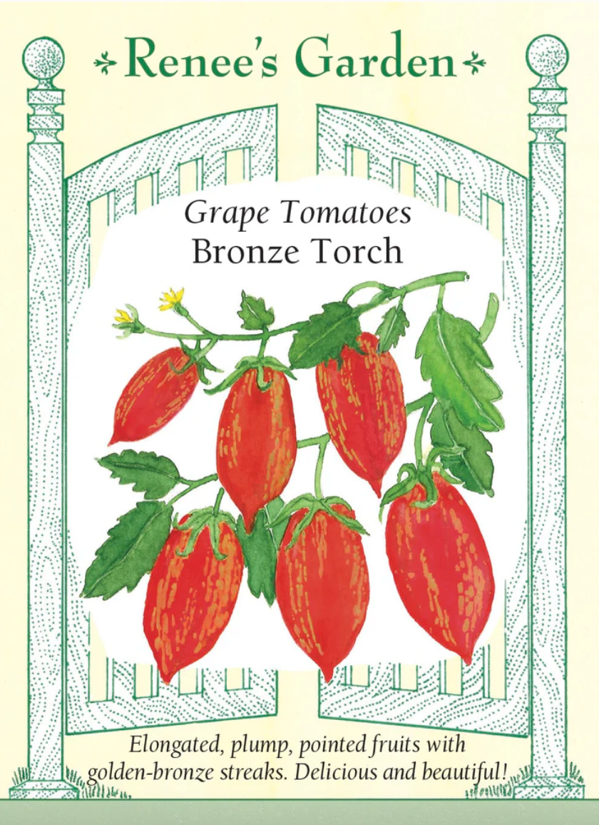 Bronze Torch Grape Tomatoes