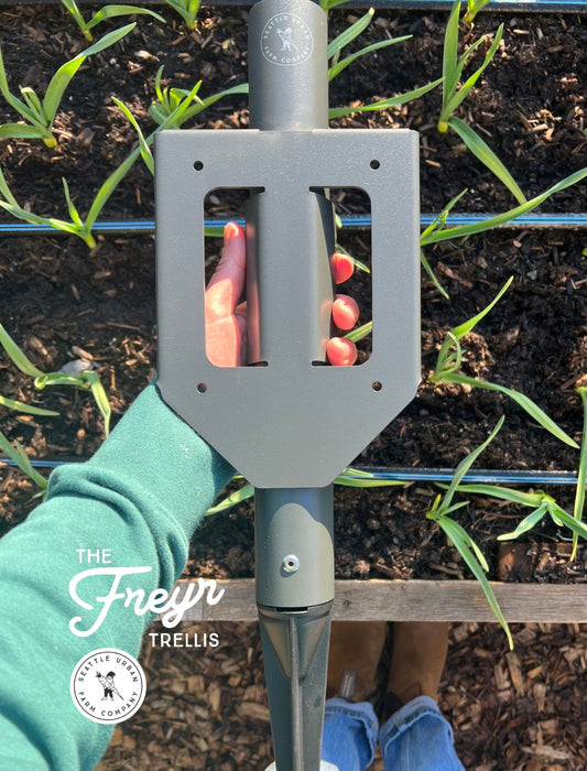 Charcoal heavy duty Freyr trellis steel ground anchor 