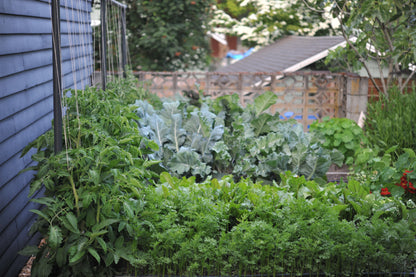 Hemp garden twine spool