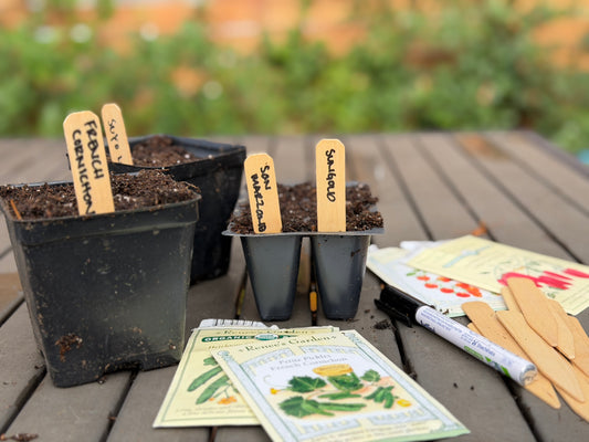 Plant tags - Biodegradable wood - 4 Inch