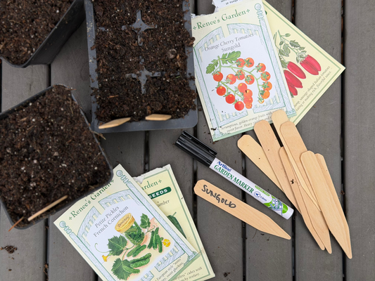 Biodegradable birch wood plant tags