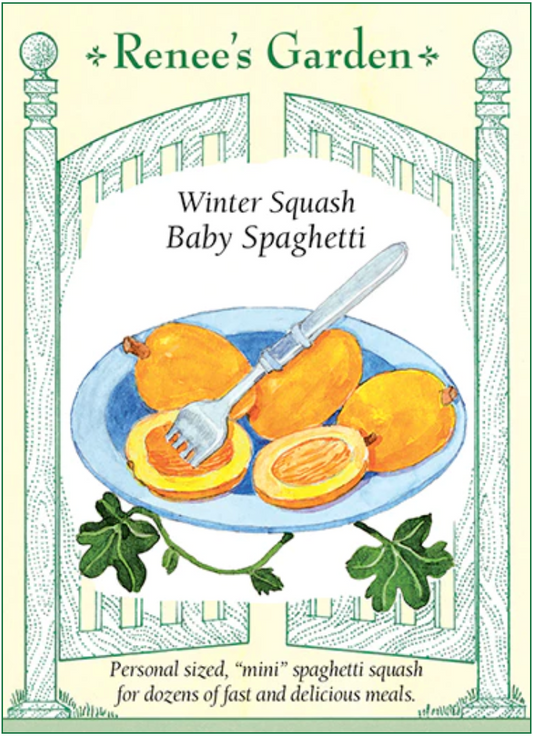 Baby Spaghetti - Winter Squash