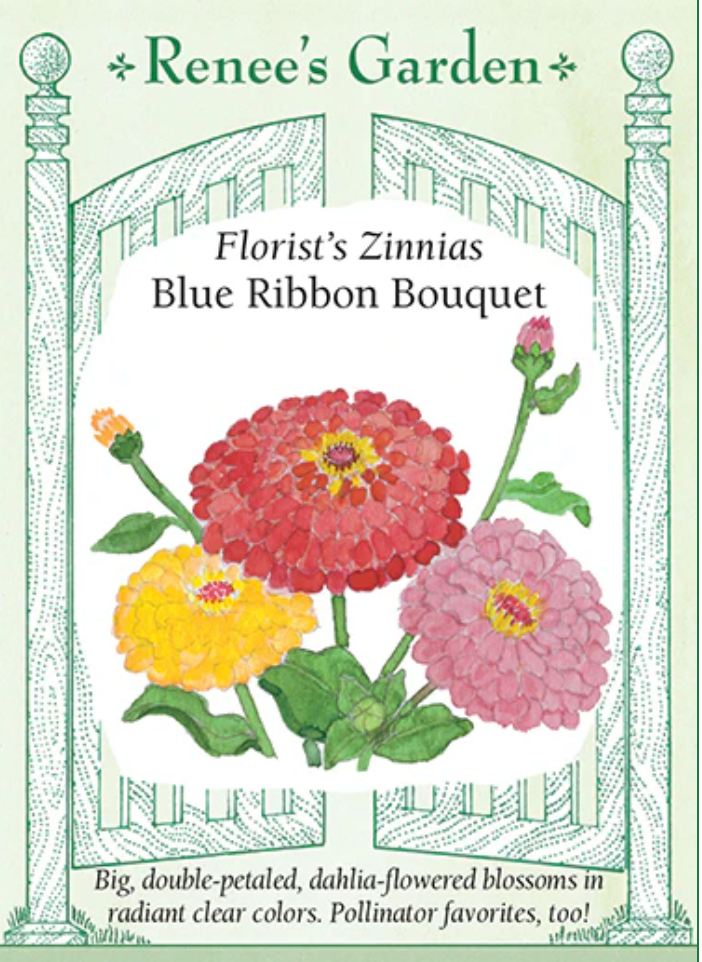 Zinnias - Blue Ribbon Bouquet