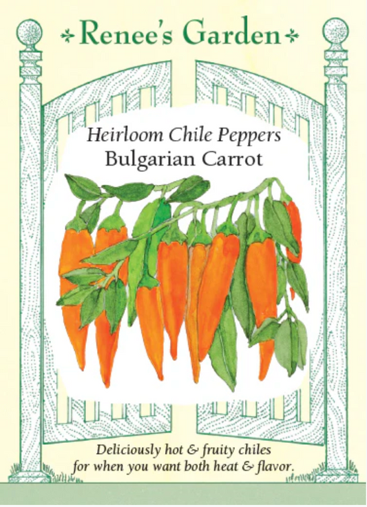 Heirloom Chiles- Bulgarian Carrot