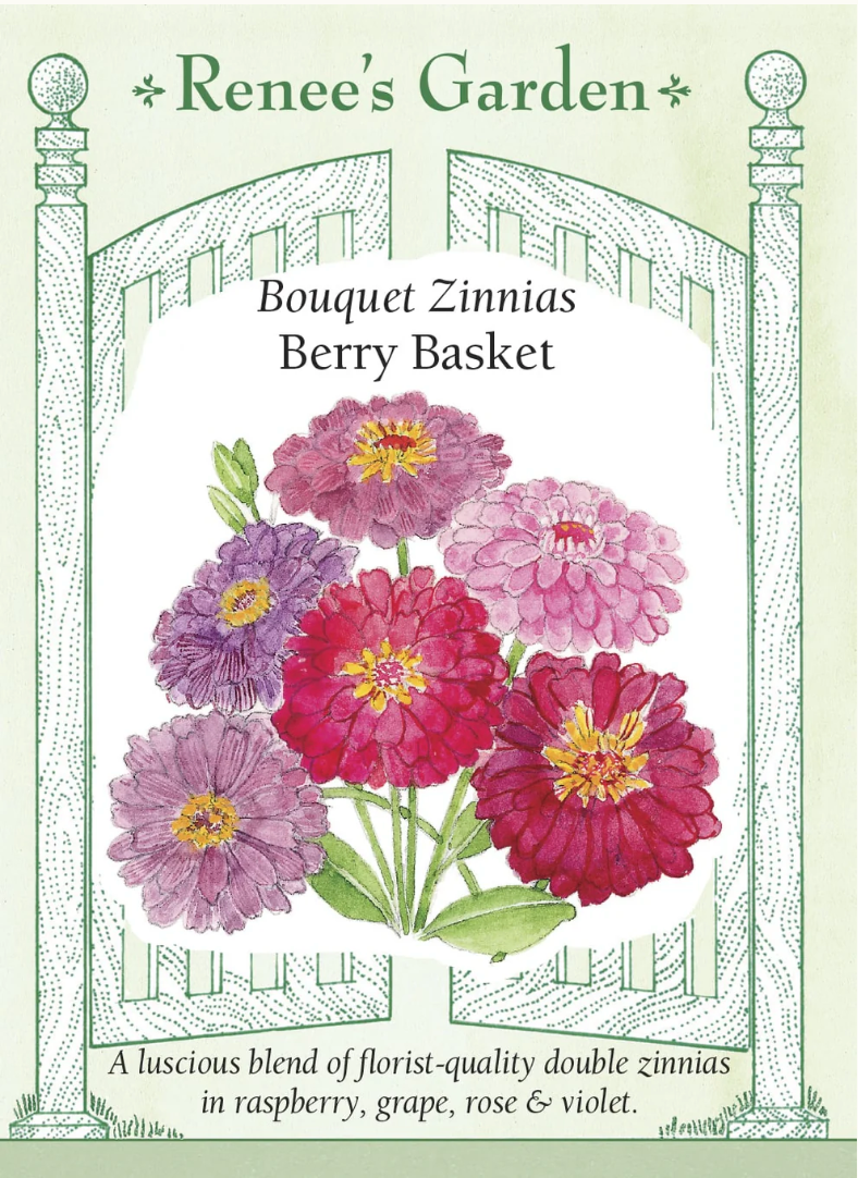 Zinnia - Berry Basket