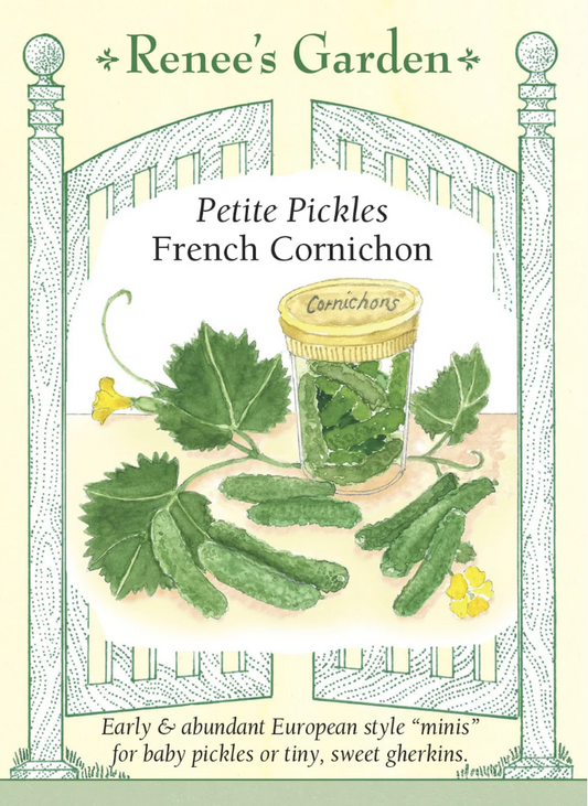 Cucumbers - French Cornichon