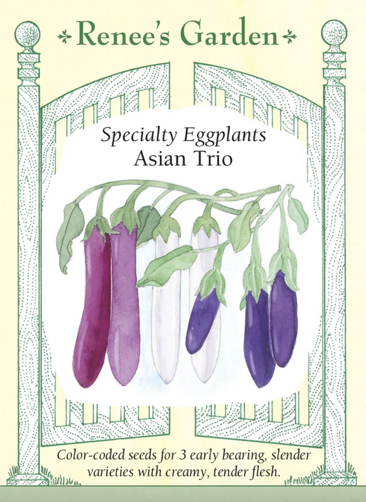 Eggplant - Asian trio