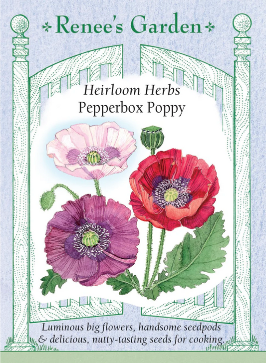Poppy - Pepperbox