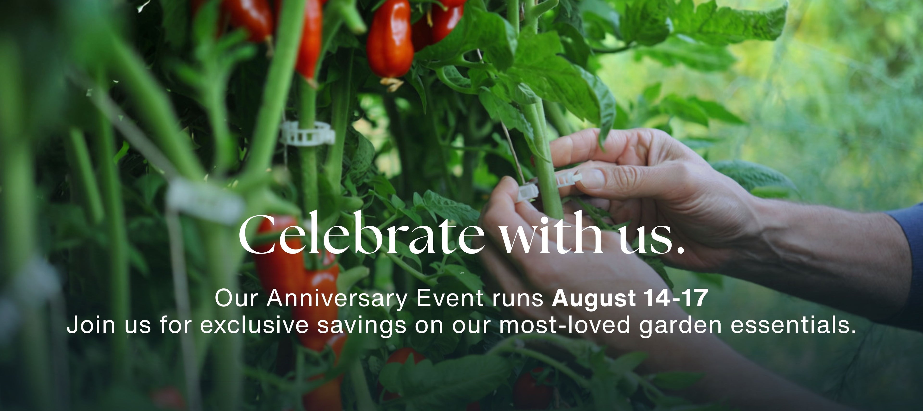 Seattle Urban Farm Co Anniversary Event