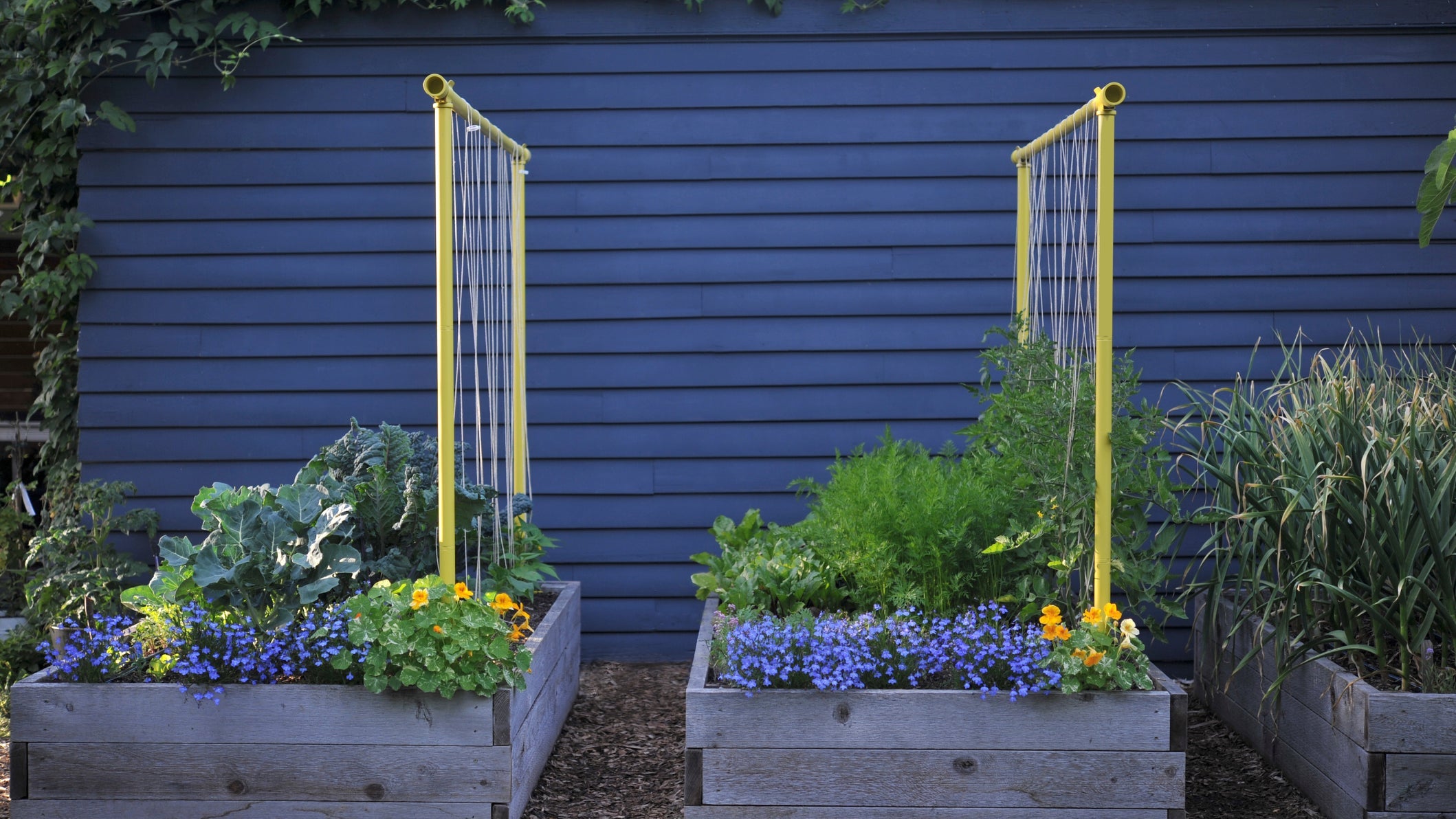 We wanted a better trellis, so we made one.